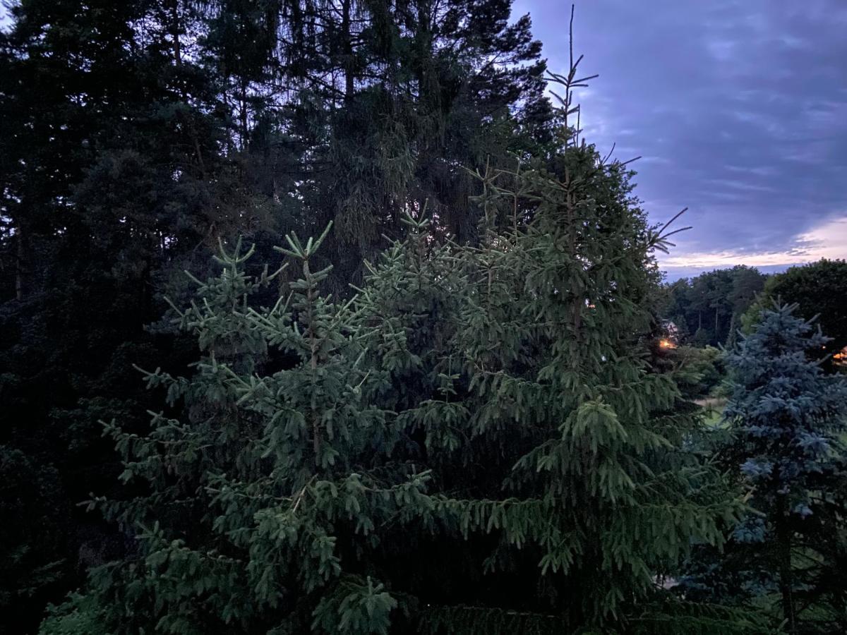 Waldwerk Wurlgrund Lychen Lejlighedshotel Eksteriør billede